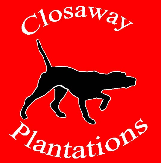 (image for) Closaway Plantation Decal